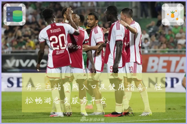 开云主站官网入口及使用指南，轻松畅游各类服务平台